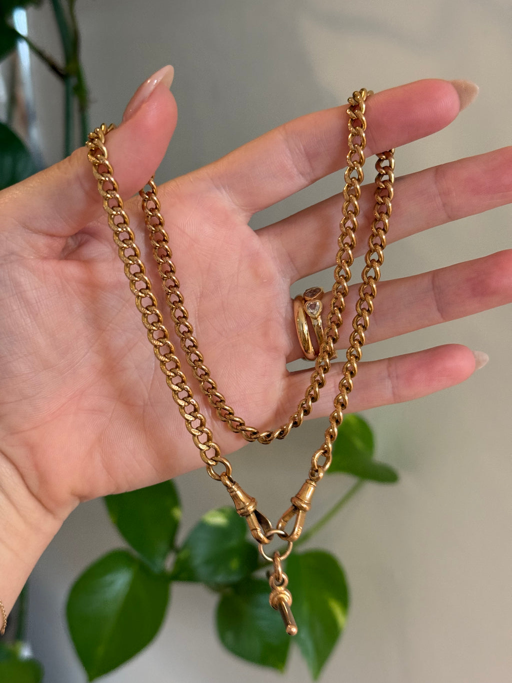 Antique Albert Curb Watch Chain