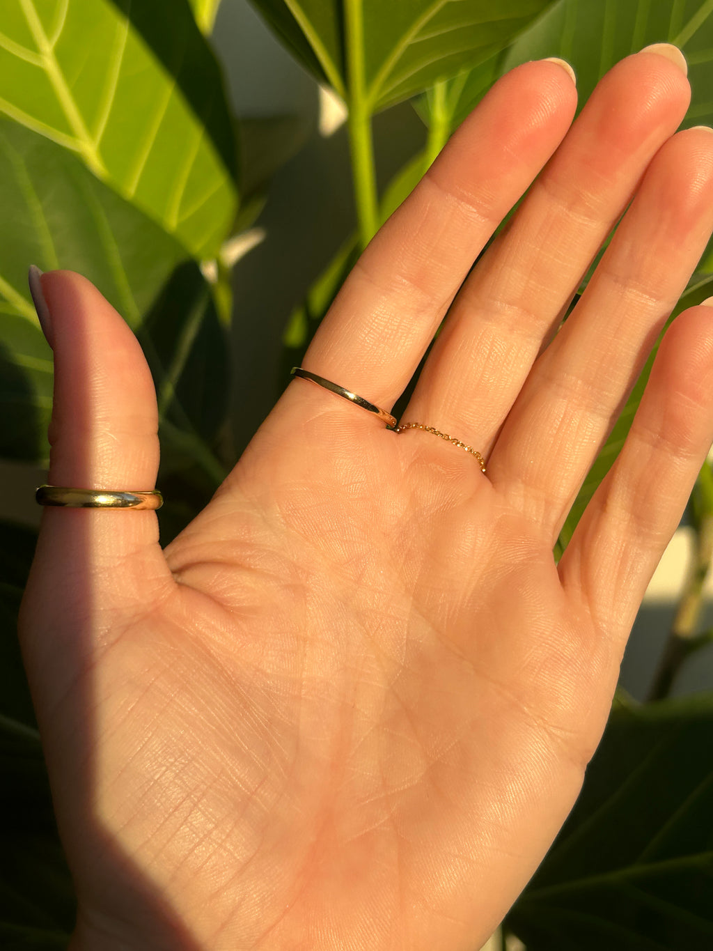 Garnet Ring