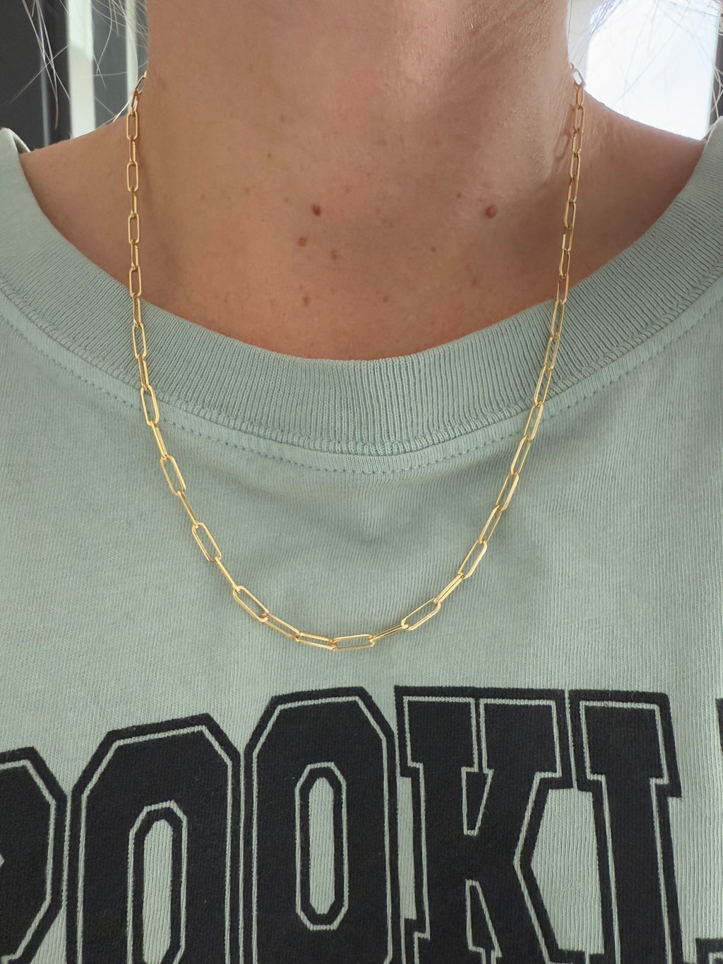 Solid Everyday Paperclip