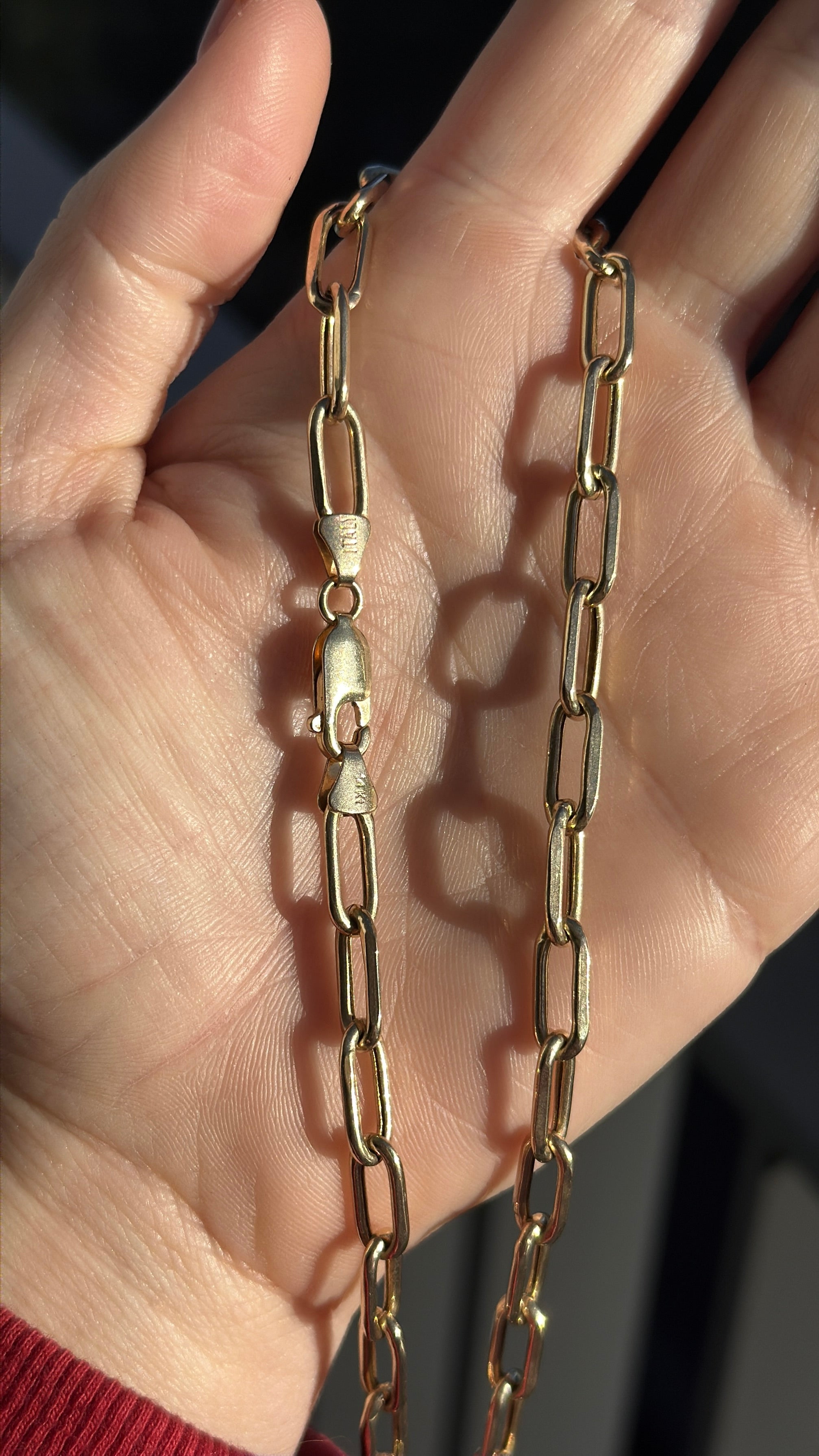 Everyday Biker Paperclip Chain