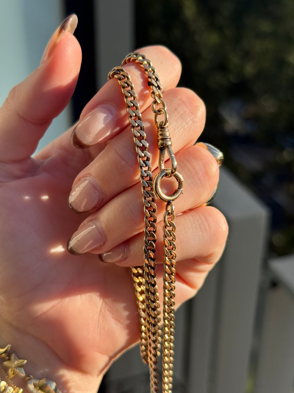 Edwardian Watch Chain