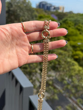 Load image into Gallery viewer, Solis Bolt Double Curb Chain
