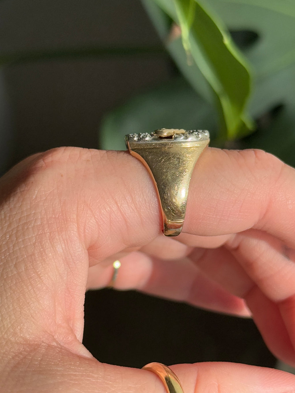 Diamond Horseshoe Ring