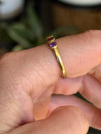Rainbow Band