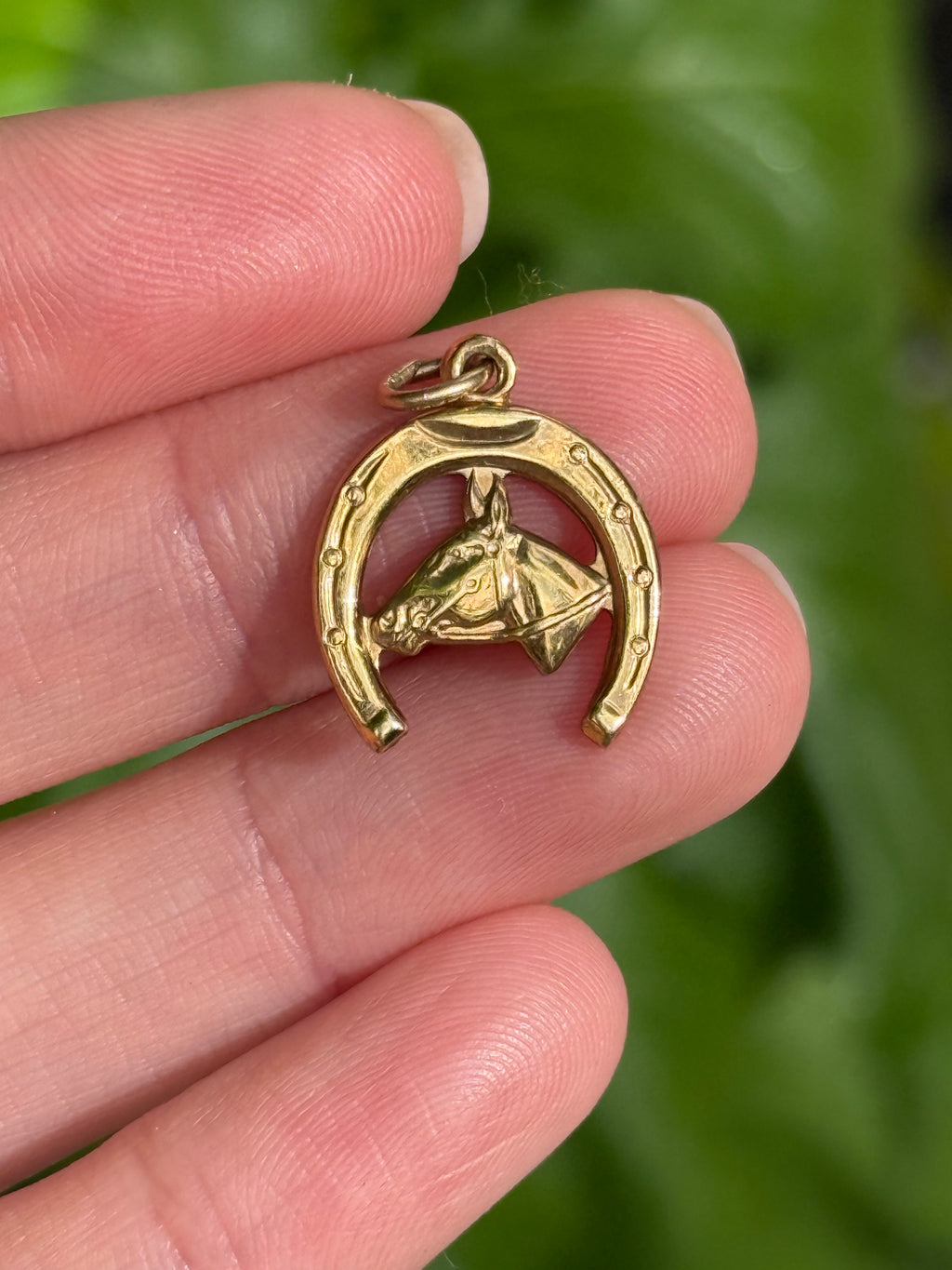 Horseshoe Charm