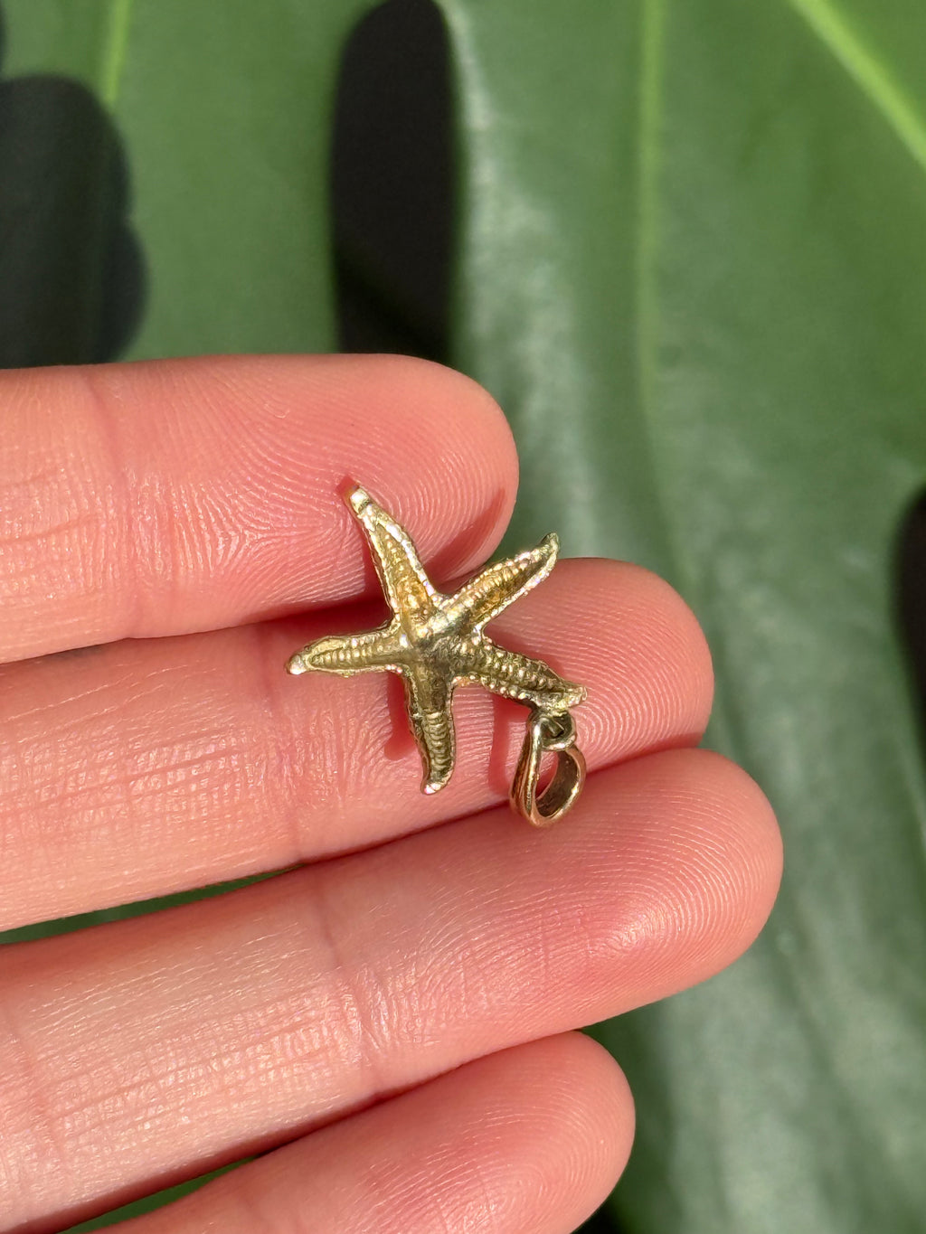 Starfish Charm