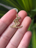 Ski Charm