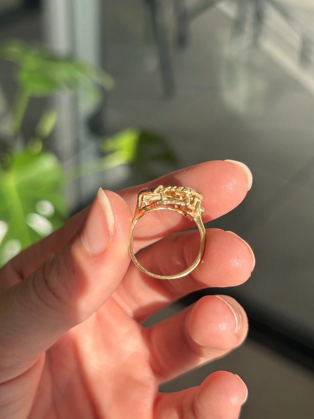 Capricorn Ring