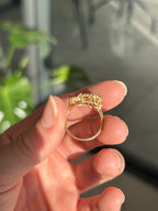 Capricorn Ring