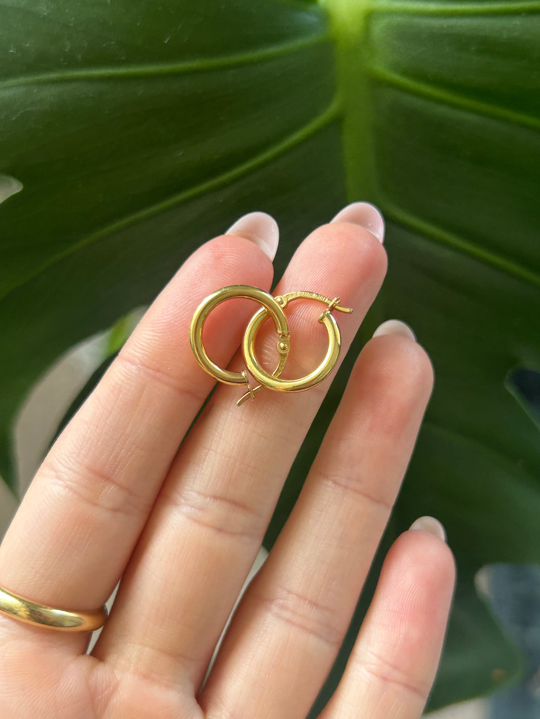 Mini Whisper Hoops