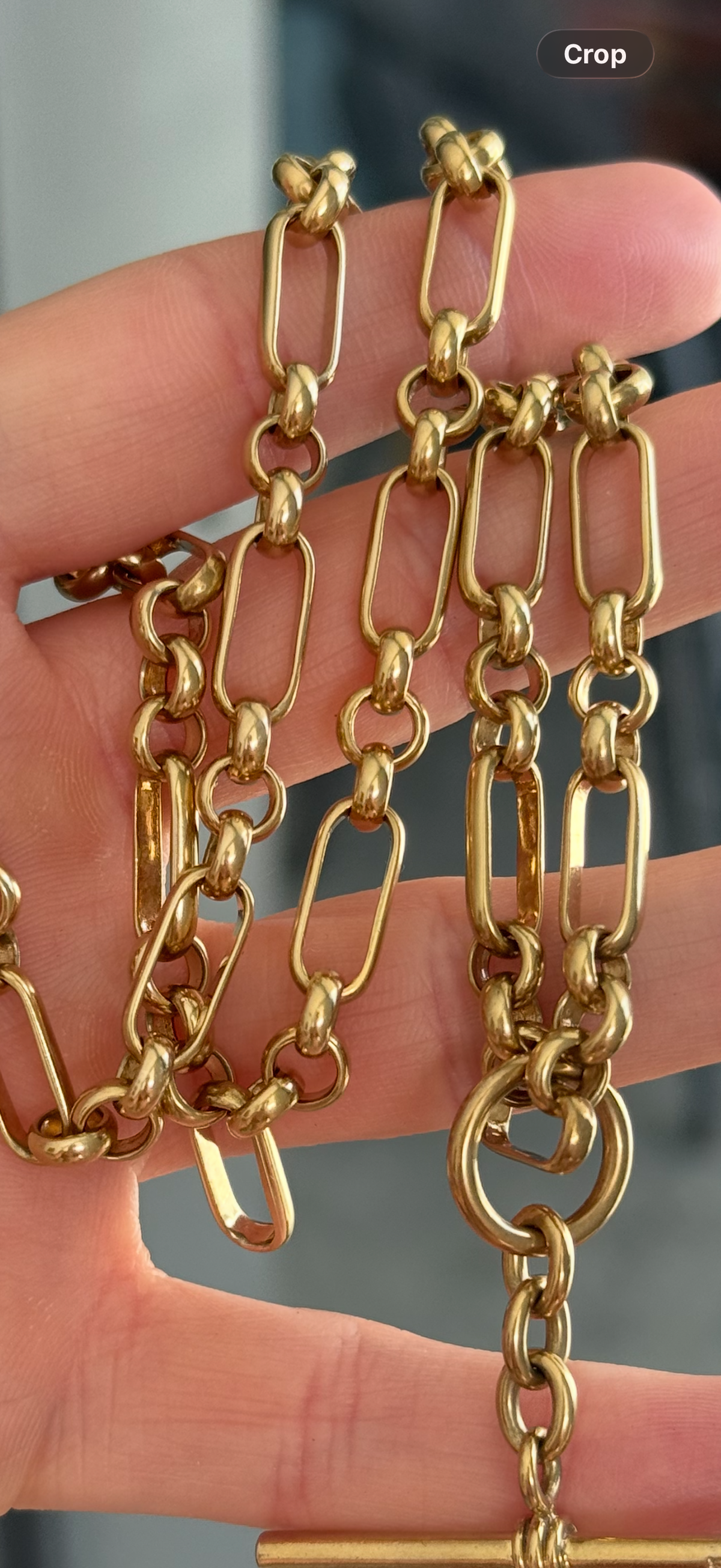 Solid Trombone Watch Chain