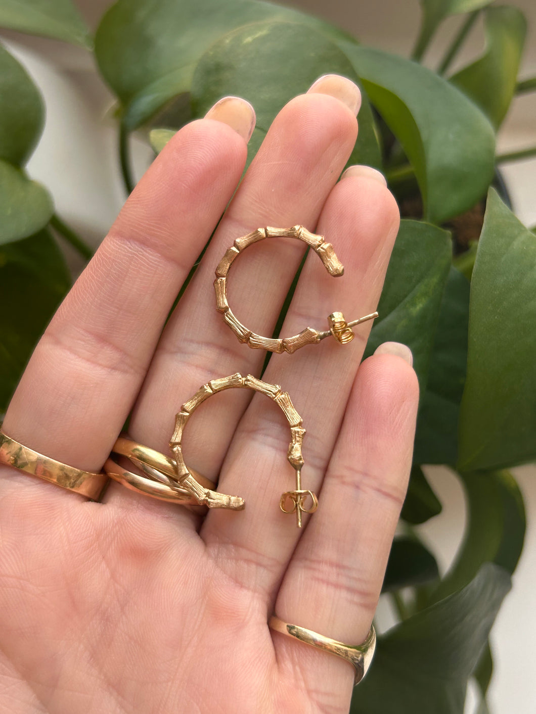 Bamboo Hoops