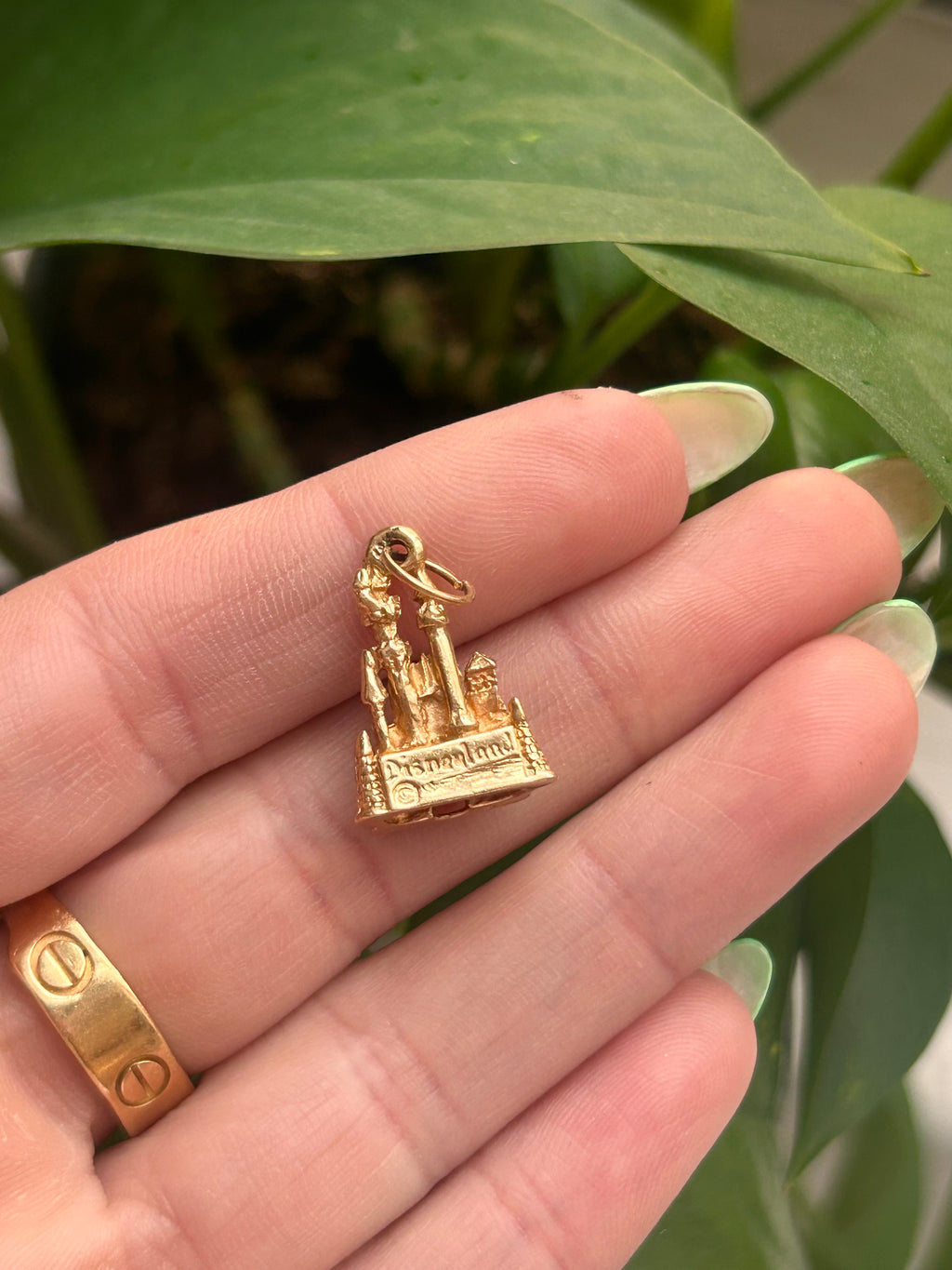 Disneyland Charm