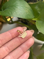 Crown Charm