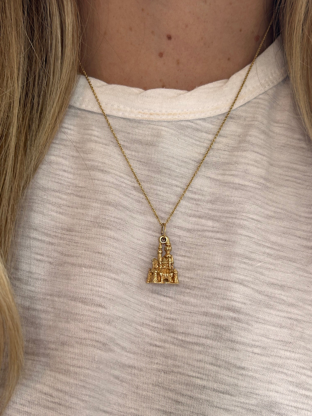 Disneyland Charm
