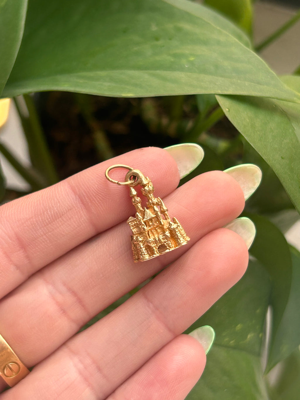 Disneyland Charm