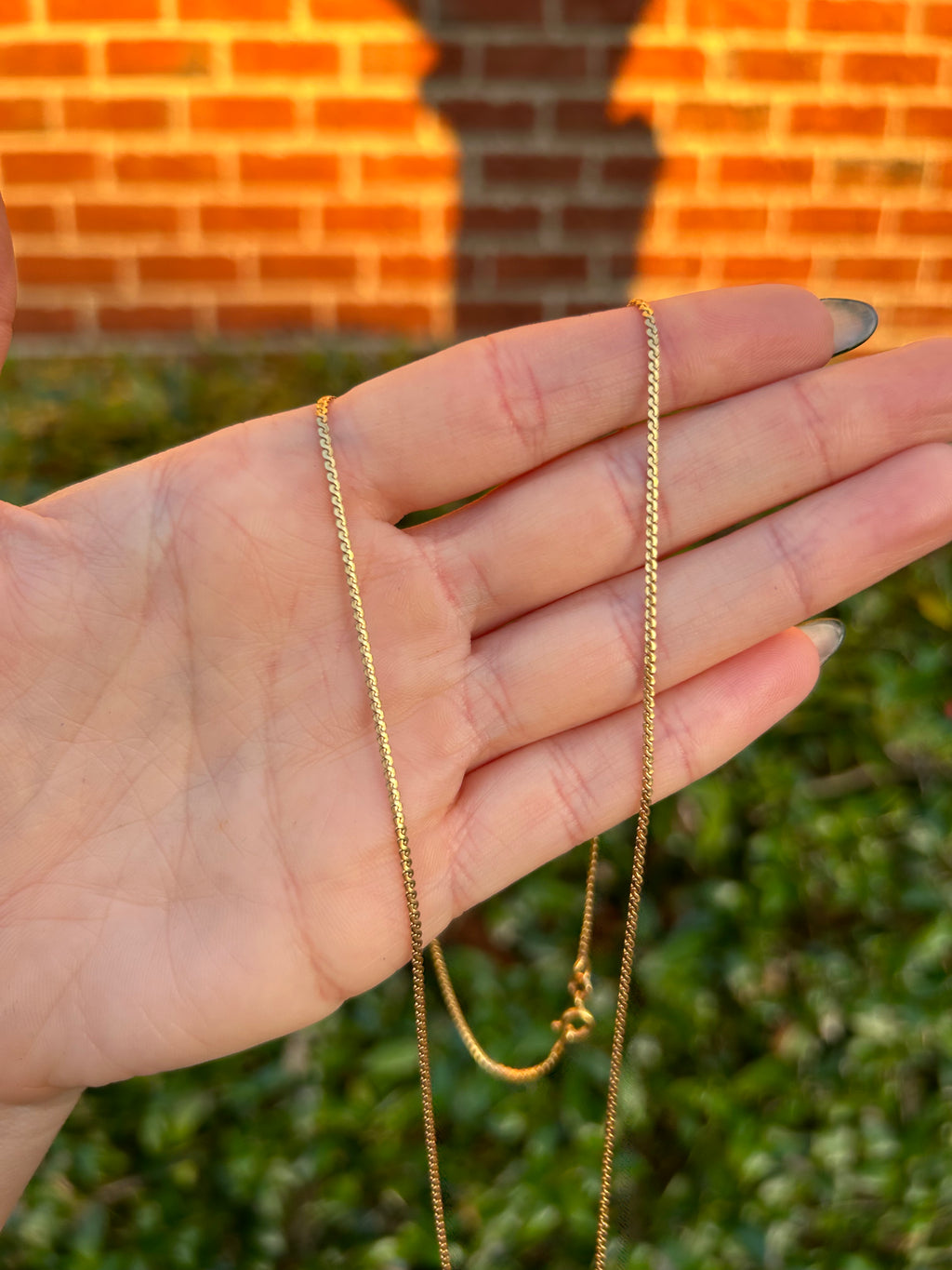 Dainty S Chain