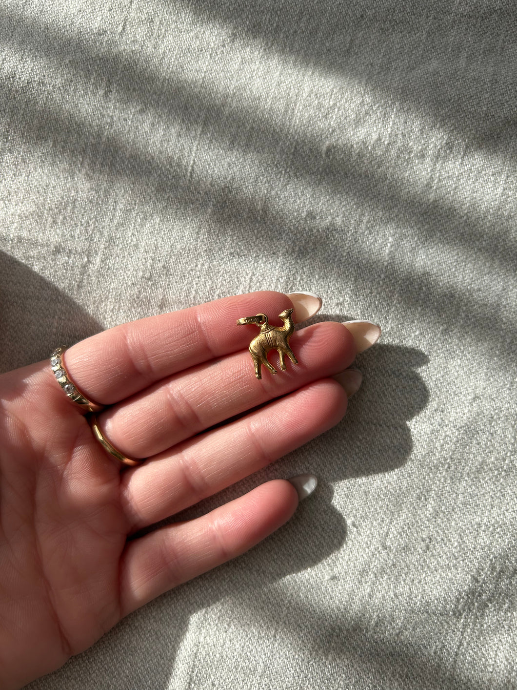 Camel Charm