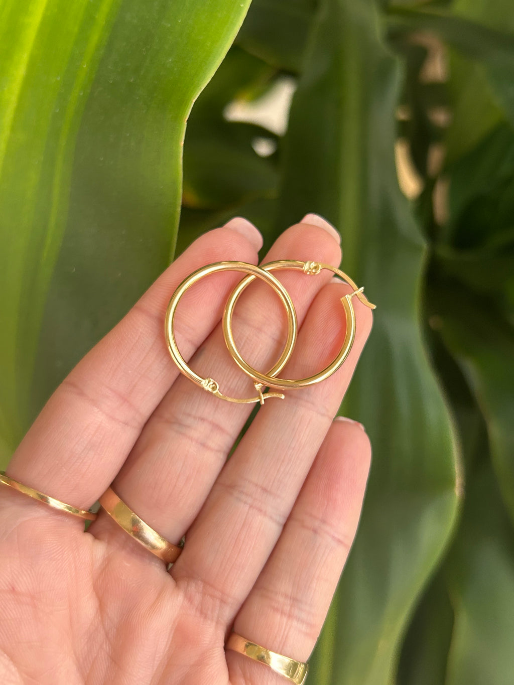 Medium Whisper hoops