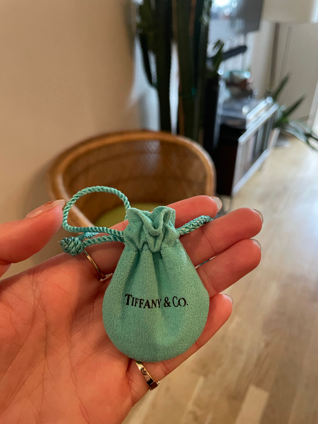 Tiffany & Co. sterling silver ruby ring