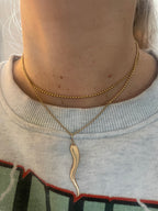 Large Brushed Cornicello