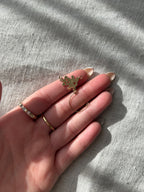 Teddy Bear Charm Holder