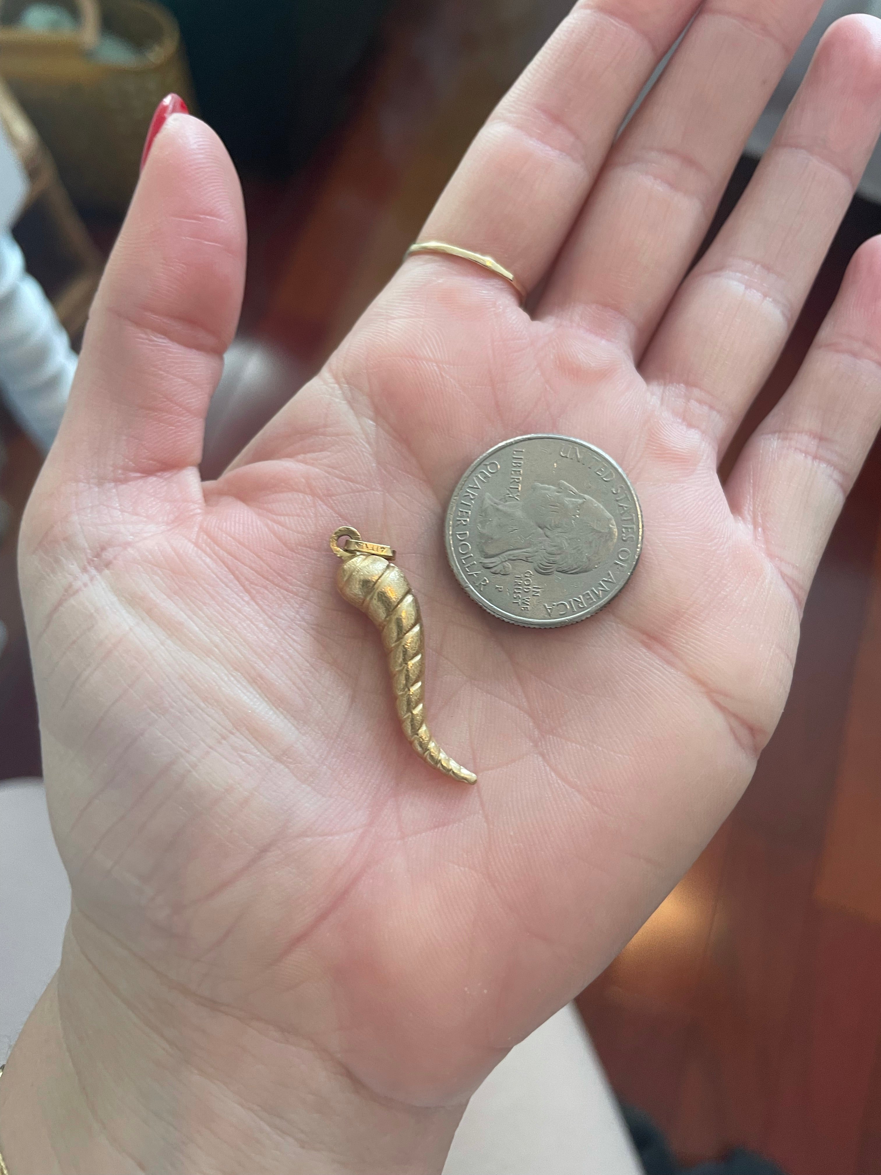 Vintage Italian Horn