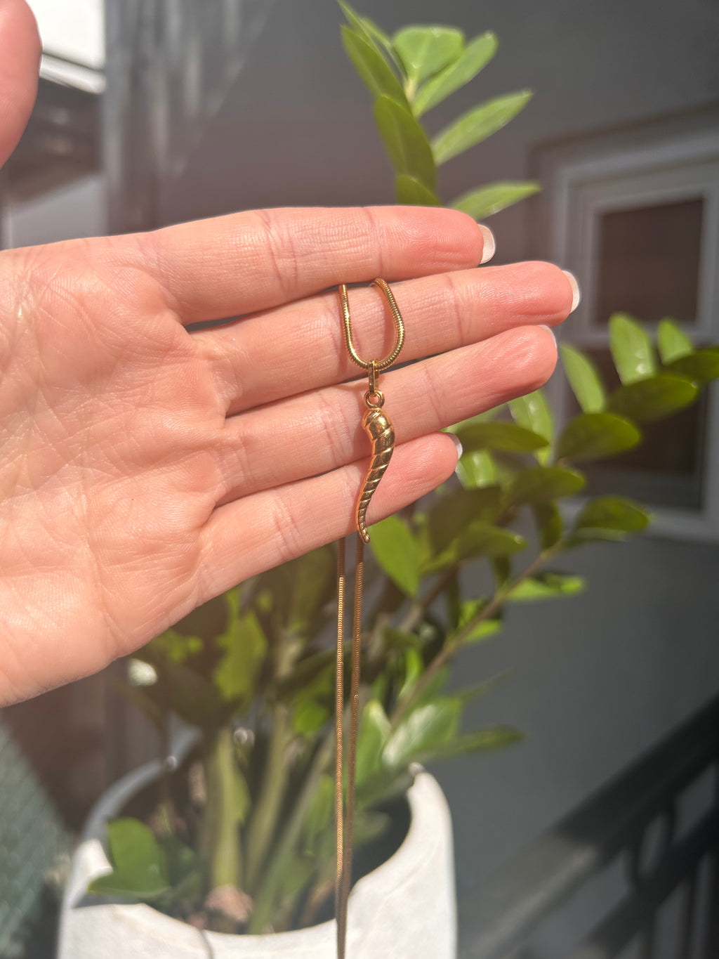 Shiny Striped Italian Horn