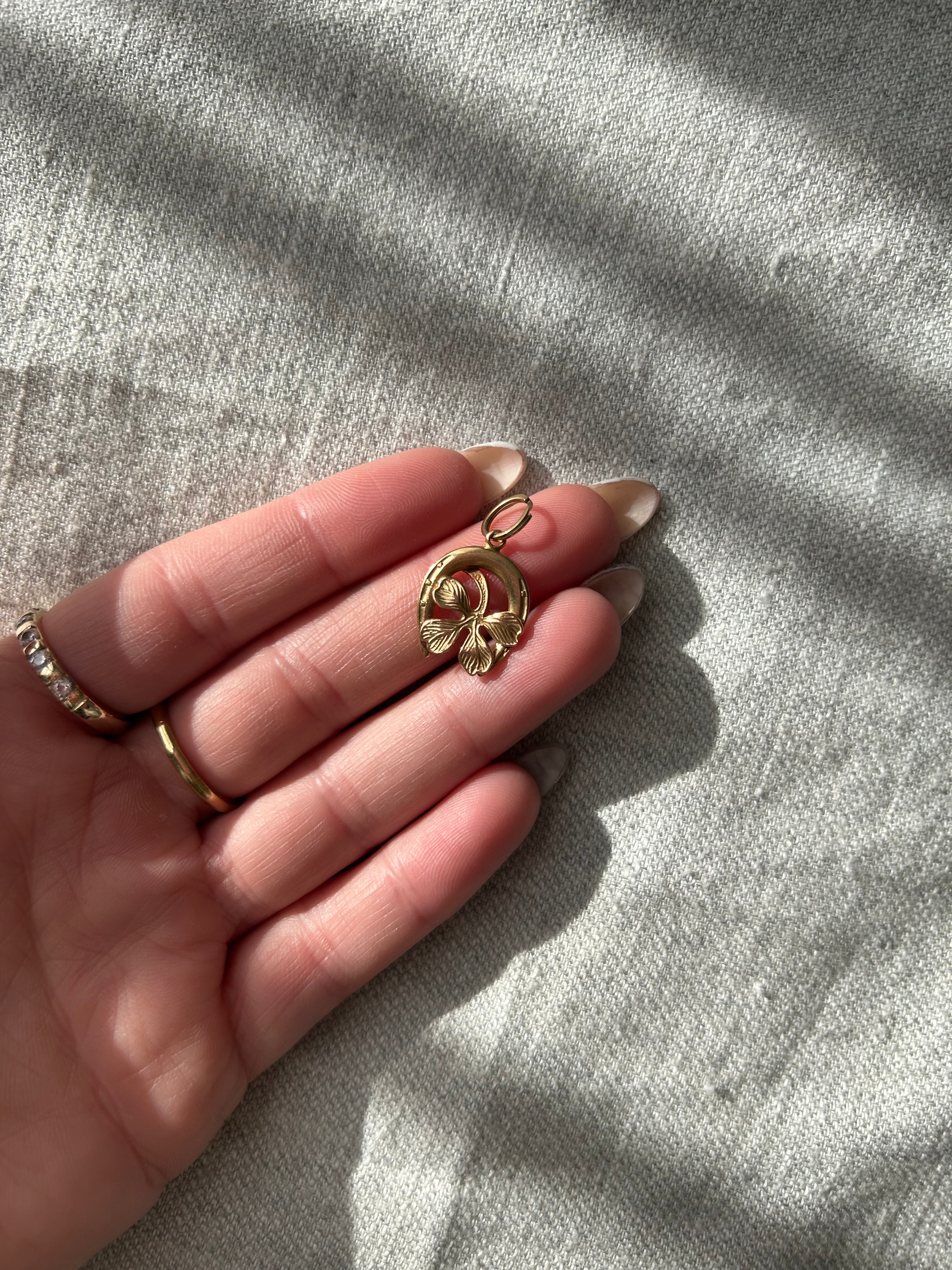 Lucky Horseshoe Charm