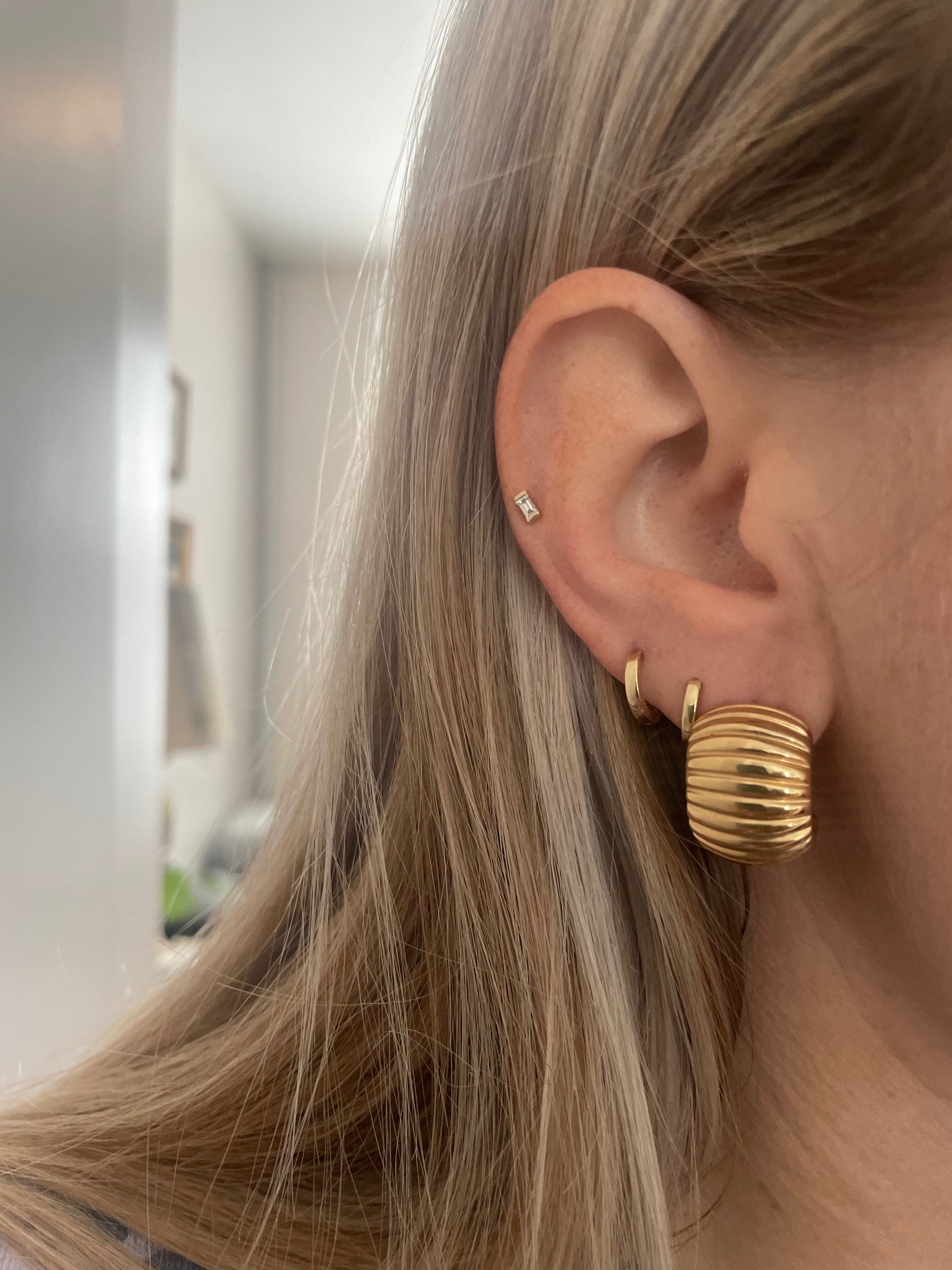 Puffy Shrimp Earrings