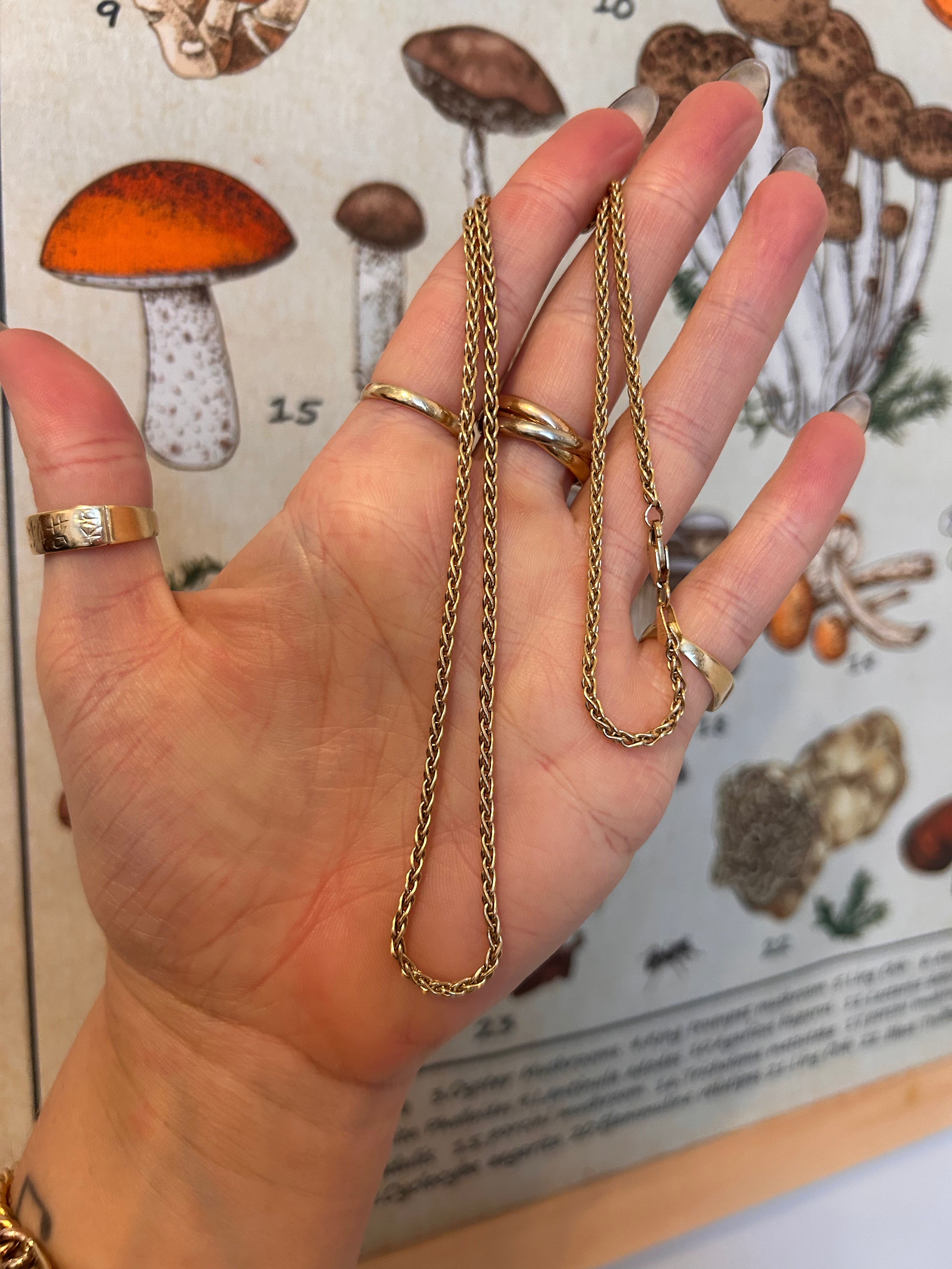 Solid Fishtail Chain