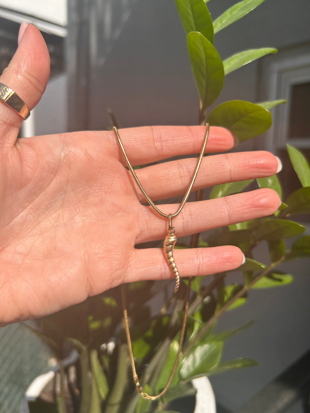 Matte Striped Italian Horn