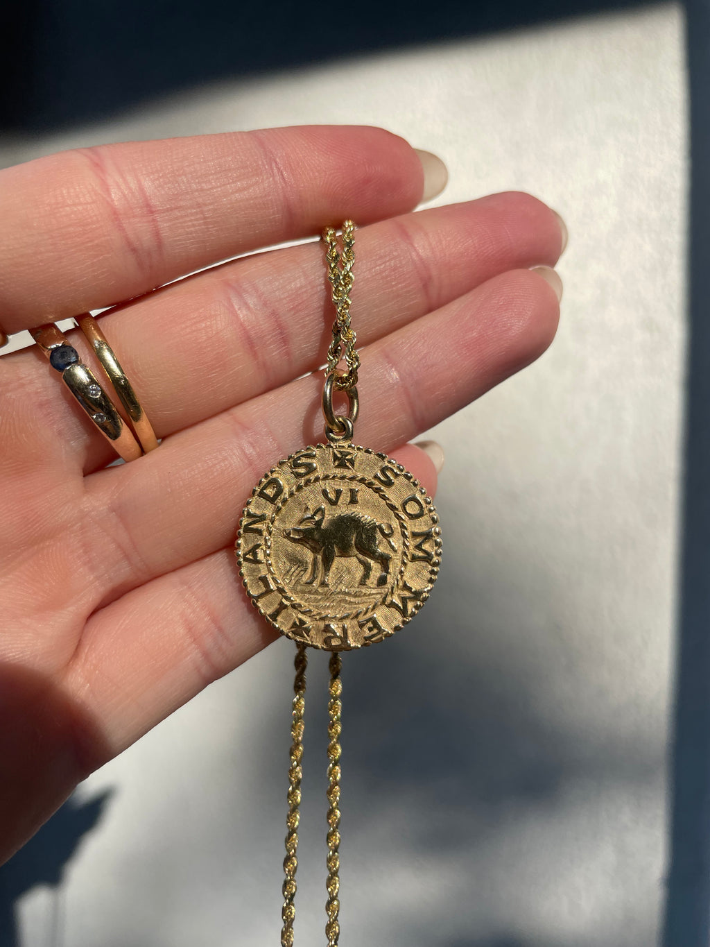 Vintage Shipwreck Coin