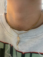 Large Brushed Cornicello